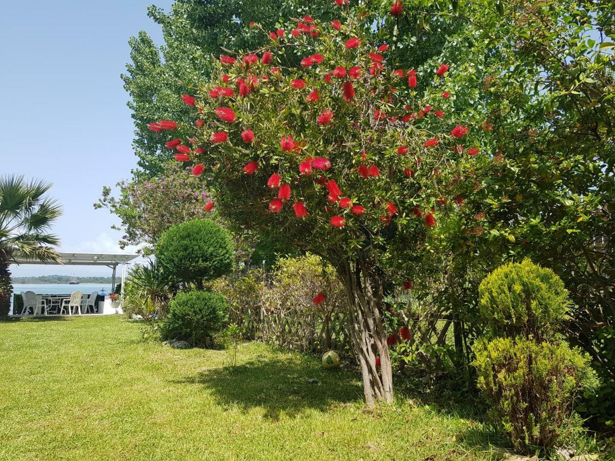 Dimitra's House * Vourvourou